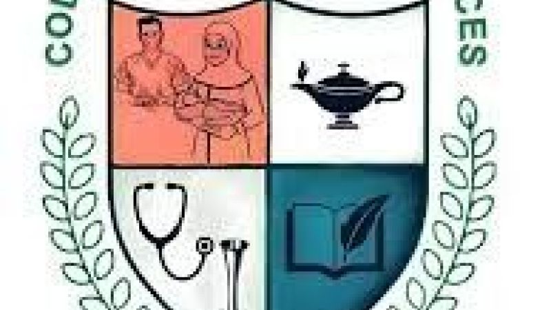 Kano Nursing College Introduces 2025/2026 PGD Programmes - Education